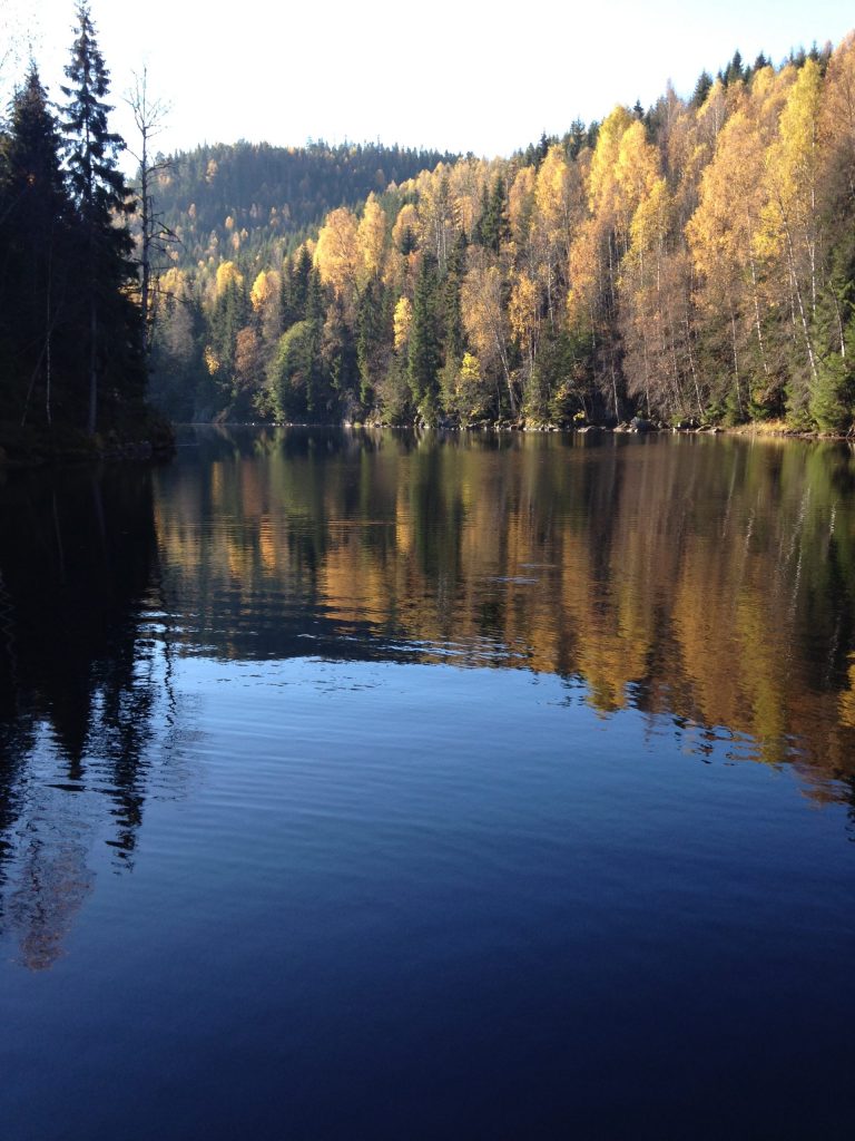 Dark blue lake with cliffs to the right hand side and trees in the distance
