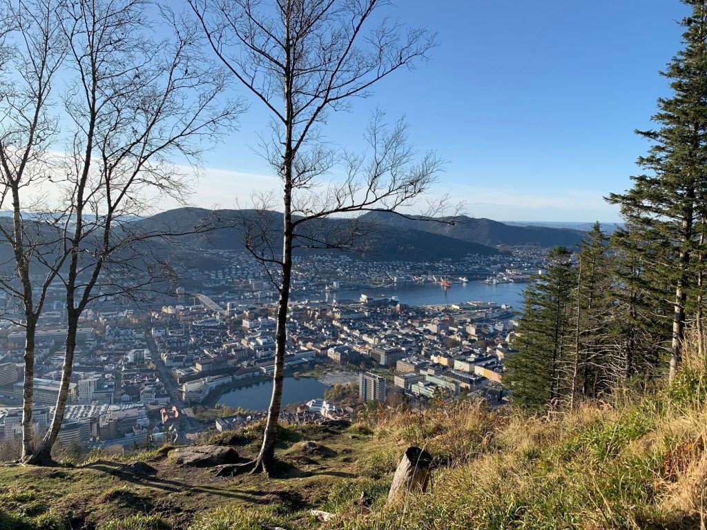 blue sky trees and view across the valley; counselling support for employees in west bridgford, nottingham
