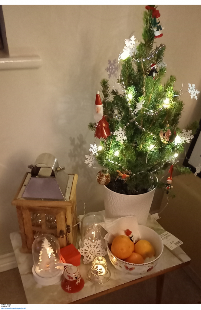 Christmas Tree with lights, Oranges, lantern