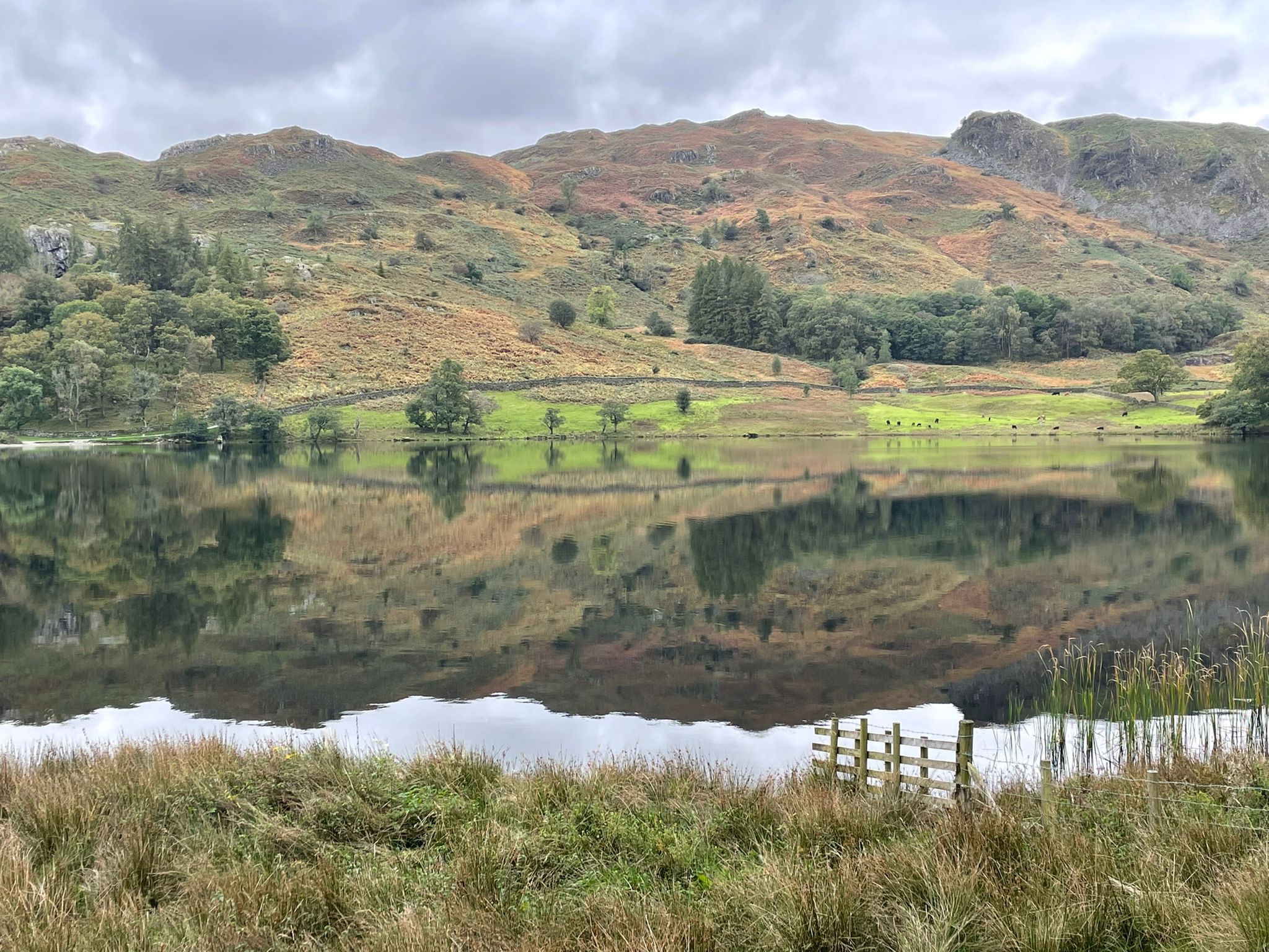 Grasmere lake reflection of hills and trees in the lake; this image selected for couples therapy