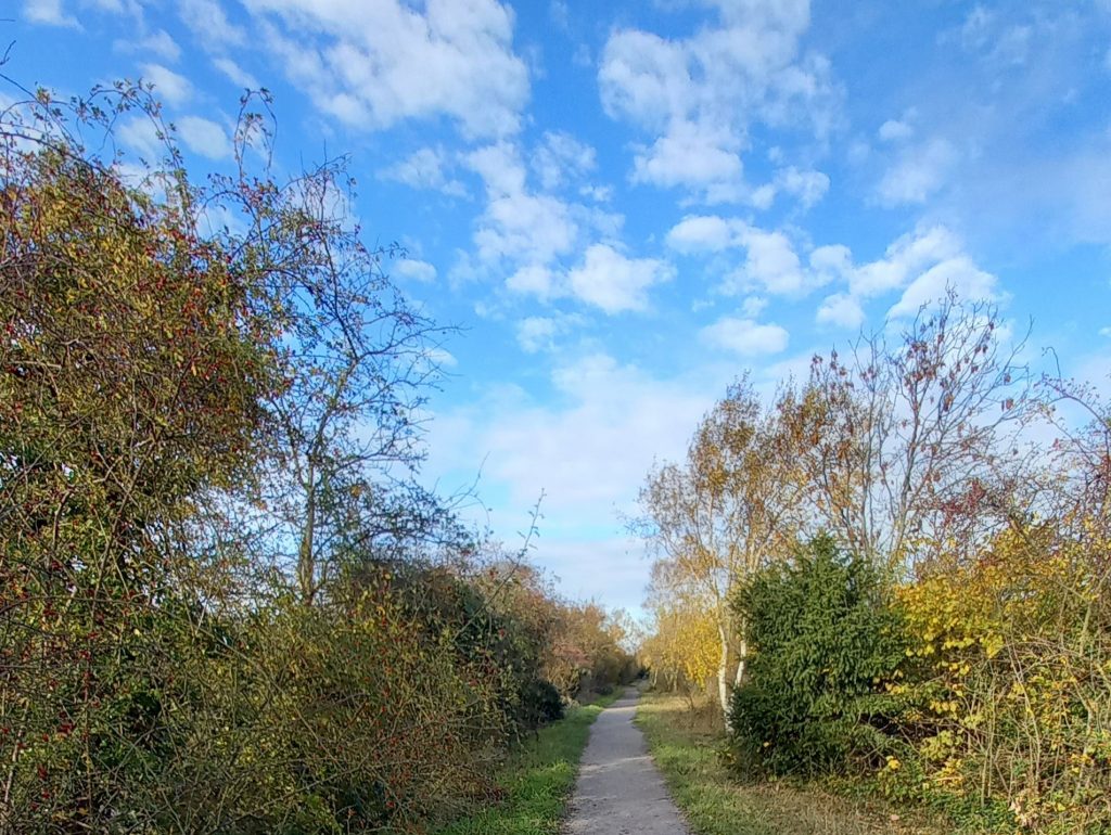 blue sky, clouds, path, trees; image for practicalities